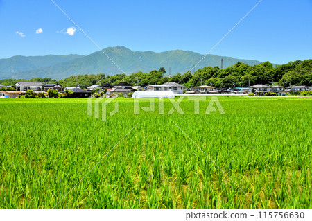 View of Mount Kyogatake from Mishima, Ina City, Nagano Prefecture (Ina City, Nagano Prefecture) [2024.6] 115756630