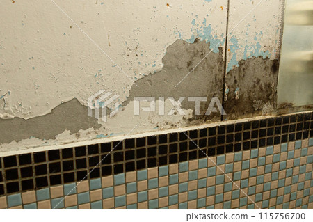 浴室牆壁有黑色黴菌 115756700
