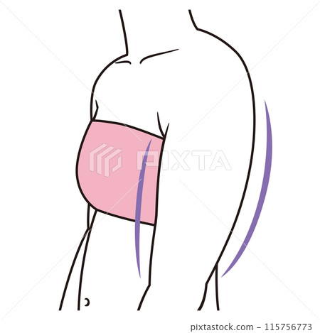 Rounded shoulders and thick upper arms Rounded shoulders and thick upper arms 115756773
