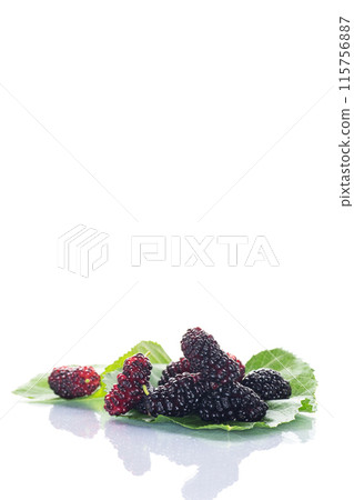 ripe black mulberry berries with leaves, isolated on white background ripe black mulberry berries with leaves, isolated on white background 115756887