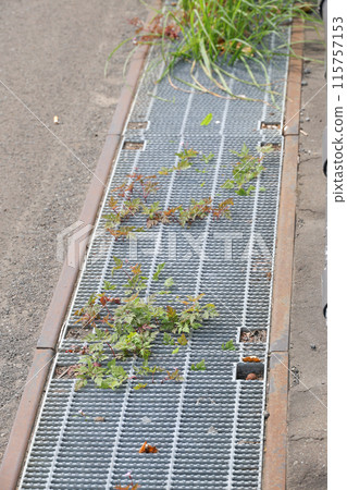 Drains, sewage, sewers, asphalt, rainwater, rain, concrete, ground, outdoors, roads, roads 115757153