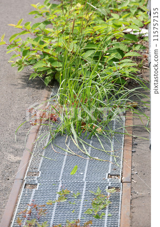 Drains, sewage, sewers, asphalt, rainwater, rain, concrete, ground, outdoors, roads, roads 115757155