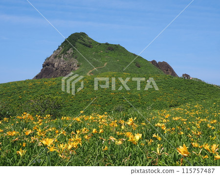 Onogame, Sado Island, where Tobishima day lilies bloom Onogame, Sado Island, where Tobishima day lilies bloom 115757487