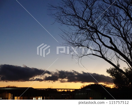 Winter Dusk 002 115757512