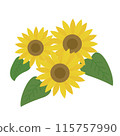 盛開的夏季向日葵的插圖 盛開的夏季向日葵的插圖 115757990