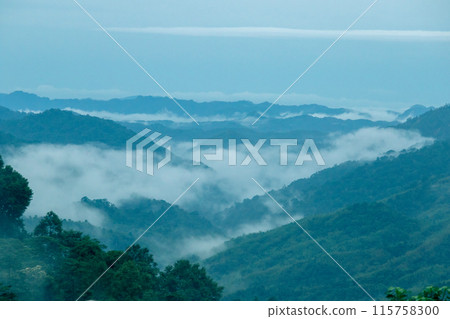 Misty clouds float above the mountains 115758300