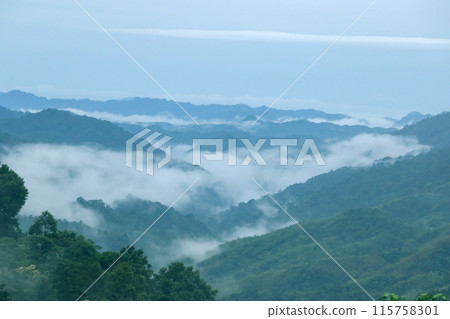 Misty clouds float above the mountains 115758301