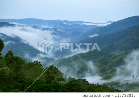 Misty clouds float above the mountains 115758813
