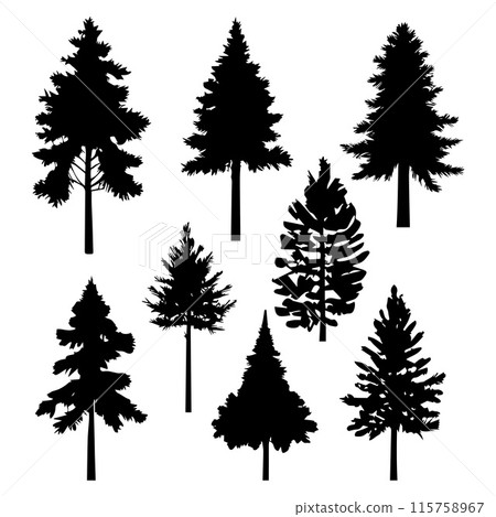 Silhouette pine trees collections.Vector illustration Silhouette pine trees collections.Vector illustration 115758967