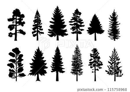 Silhouette trees collections. Abstract vector illustration Silhouette trees collections. Abstract vector illustration 115758968