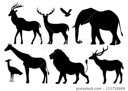 Animal silhouette collections in wildlife 115758989