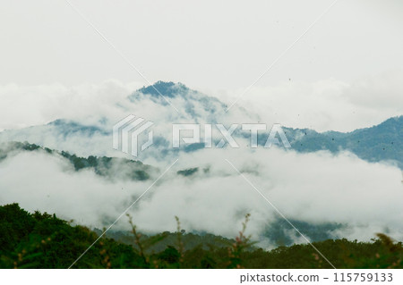 Misty clouds float above the mountains Misty clouds float above the mountains 115759133