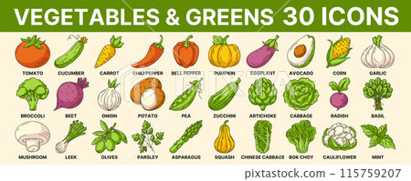 Vegetables and greens, vector colorful icon set. Vegetable line signs. Outline icons collection of veggies. Concept of farming, vegetarian and vegan food, proper nutrition, harvesting, eco produce 115759207
