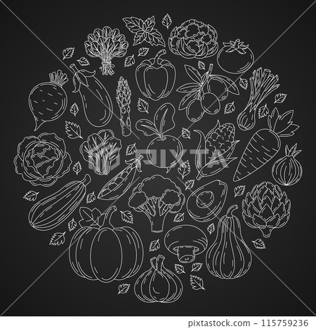 Farm fresh vegetables, round shape form. Veggies vector minimalist line icons on isolated dark background. Organic food, natural eco products. Square card for banner, poster, menu, social media, web 115759236