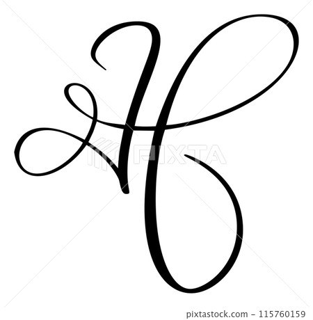 Vector calligraphy hand drawn letter H. Script font logo icon. Handwritten brush style 115760159