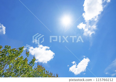 初夏的雲朵和樹木 115760212