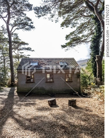 Wooden hut under Scots Pine trees in County Donegal - Ireland Wooden hut under Scots Pine trees in County Donegal - Ireland 115760273