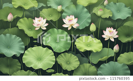 夏至荷塘盛開荷花與碧綠荷葉手繪插畫 夏至荷塘盛開荷花與碧綠荷葉手繪插畫 115760395