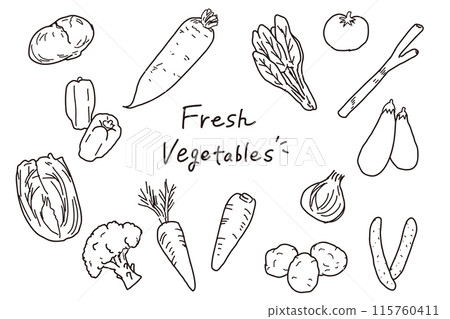 Monochrome hand-drawn style simple vegetable illustration set 115760411