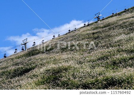 靜岡縣、伊東市、秋天、伊豆和大室山風景 靜岡縣、伊東市、秋天、伊豆和大室山風景 115760492