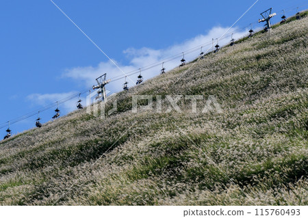 Autumn in Ito City, Shizuoka Prefecture, Izu, Mt. Omuroyama scenery 115760493