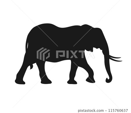 Walking elephant silhouette isolated on white background. Elephant shadow. Vector illustration 115760637
