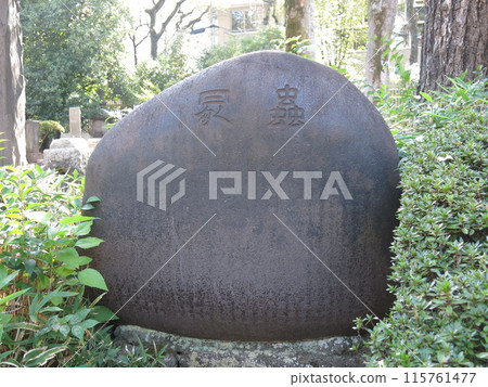 台東區寬永寺的蟲塚 台東區寬永寺的蟲塚 115761477