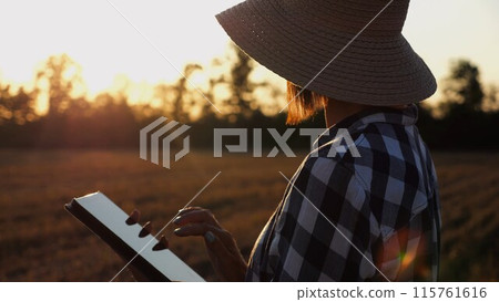 Female agronomist using digital tablet at wheat meadow at dusk. Farmer monitoring harvest at barley field at sunset. Beautiful scenic landscape. Concept of agricultural business. Slow mo Female agronomist using digital tablet at wheat meadow at dusk. Farmer monitoring harvest at barley field at sunset. Beautiful scenic landscape. Concept of agricultural business. Slow mo 115761616