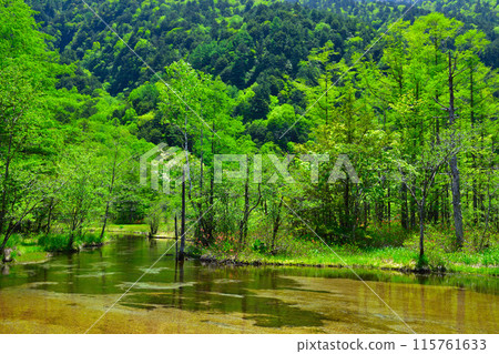 Spring, Kamikochi, Tashiro Pond 115761633
