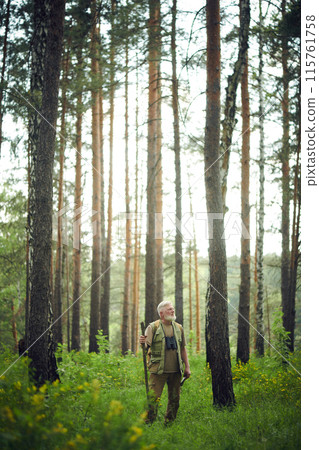 Vertical extreme long shot of senior Caucasian ranger standing with wooden stick and looking away in mountain forest on summer day 115761758