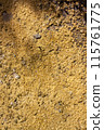 Soil background with pebbles and dried silt. Vertical. 115761775