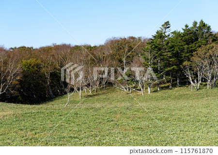 Autumn scenery seen from Aikappari Cape 115761870