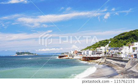 Beautiful scenery along the coast (Shichirigahama, Inamuragasaki, Koshigoe) (early summer with Mt. Fuji in view) 115762155