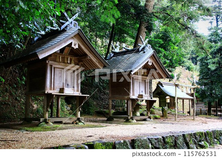 Omiya-san and Shintama-san in Oba...Japan's oldest Taisha-built national treasure, the main hall [Kintama Shrine] 115762531