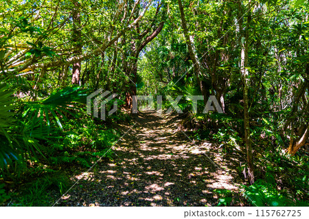 小笠原群島、父島、三日月山風景 小笠原群島、父島、三日月山風景 115762725