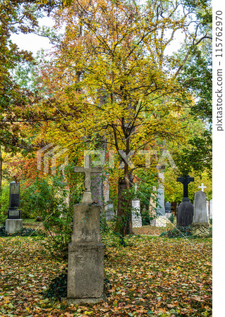 Munich, Germany - Nov 09, 2023 115762970