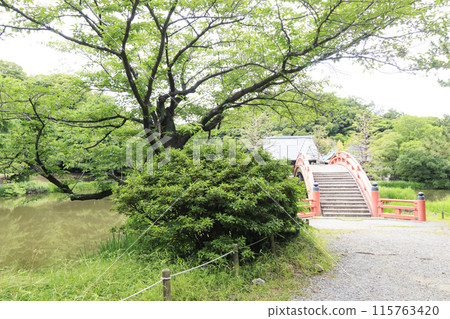橫濱市金澤區稱名寺的春天 115763420