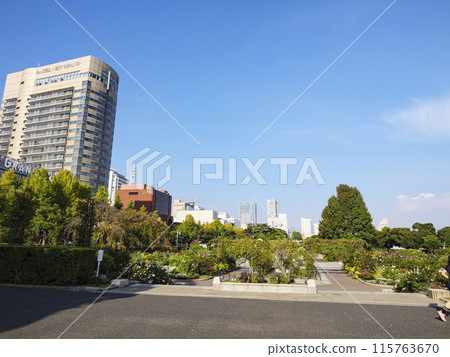山下公園 115763670