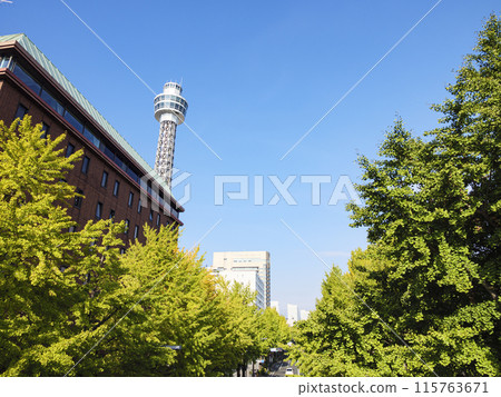 Yamashita Park 115763671