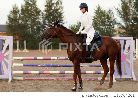 Dressage horse and rider in uniform during equestrian jumping competition 115764201