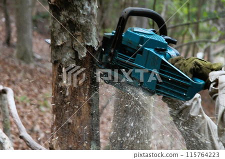 用電鋸砍伐 115764223