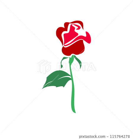 Rose flower with green leaves 115764278