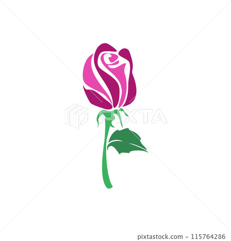 Rose flower with green leaves Rose flower with green leaves 115764286