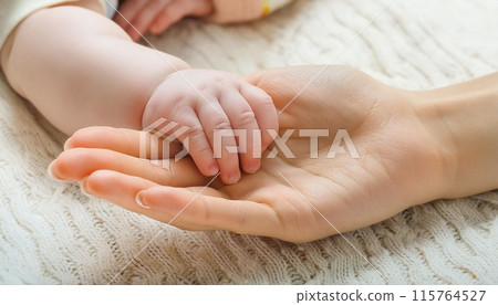 父母和孩子的手，母親和嬰兒的手 115764527