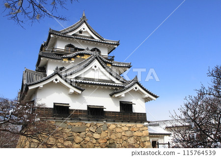 彥根城堡在冬天 彥根城堡在冬天 115764539