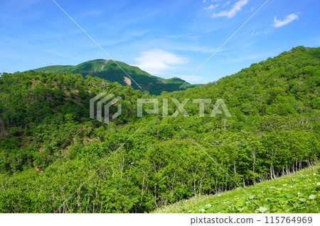 Orofure Parking Park Tang View Orofure Parking Park Tang View 115764969