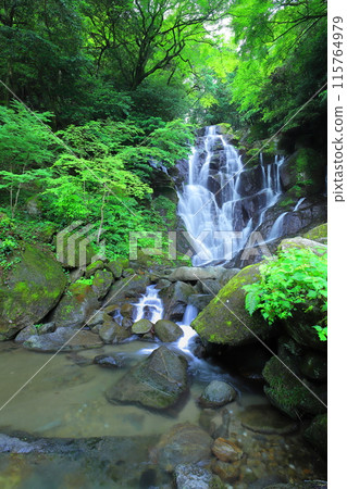 Shiraito Falls in Itoshima City Shiraito Falls in Itoshima City 115764979
