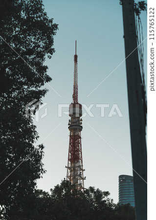東京鐵塔在傍晚的天空中升起 115765122