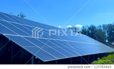 Large solar panels are installed on the ground against a blue sky. In the background are trees. Panorama. 115765603