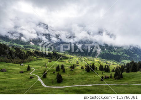 Small road in Grindelwald 115766361